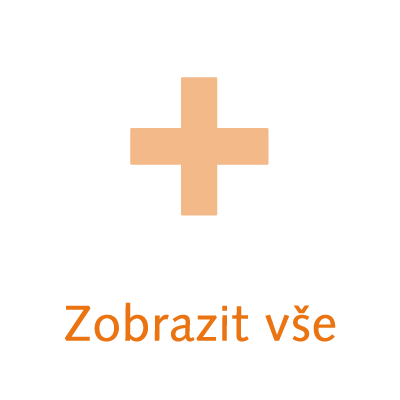 Zobrazit vše